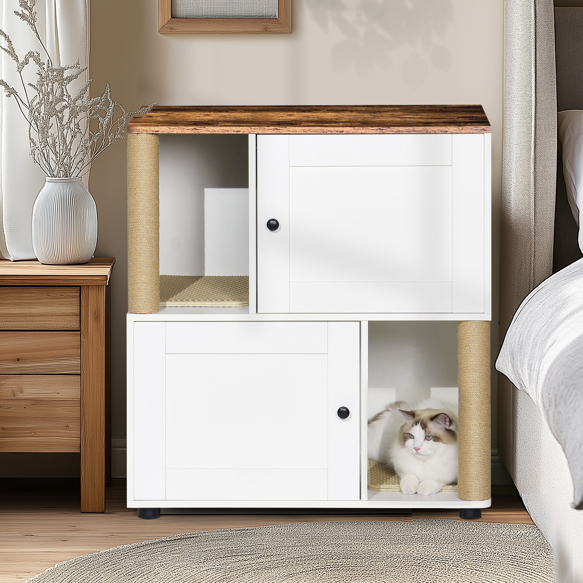 Double cat litter box shell and cat litter cabinet