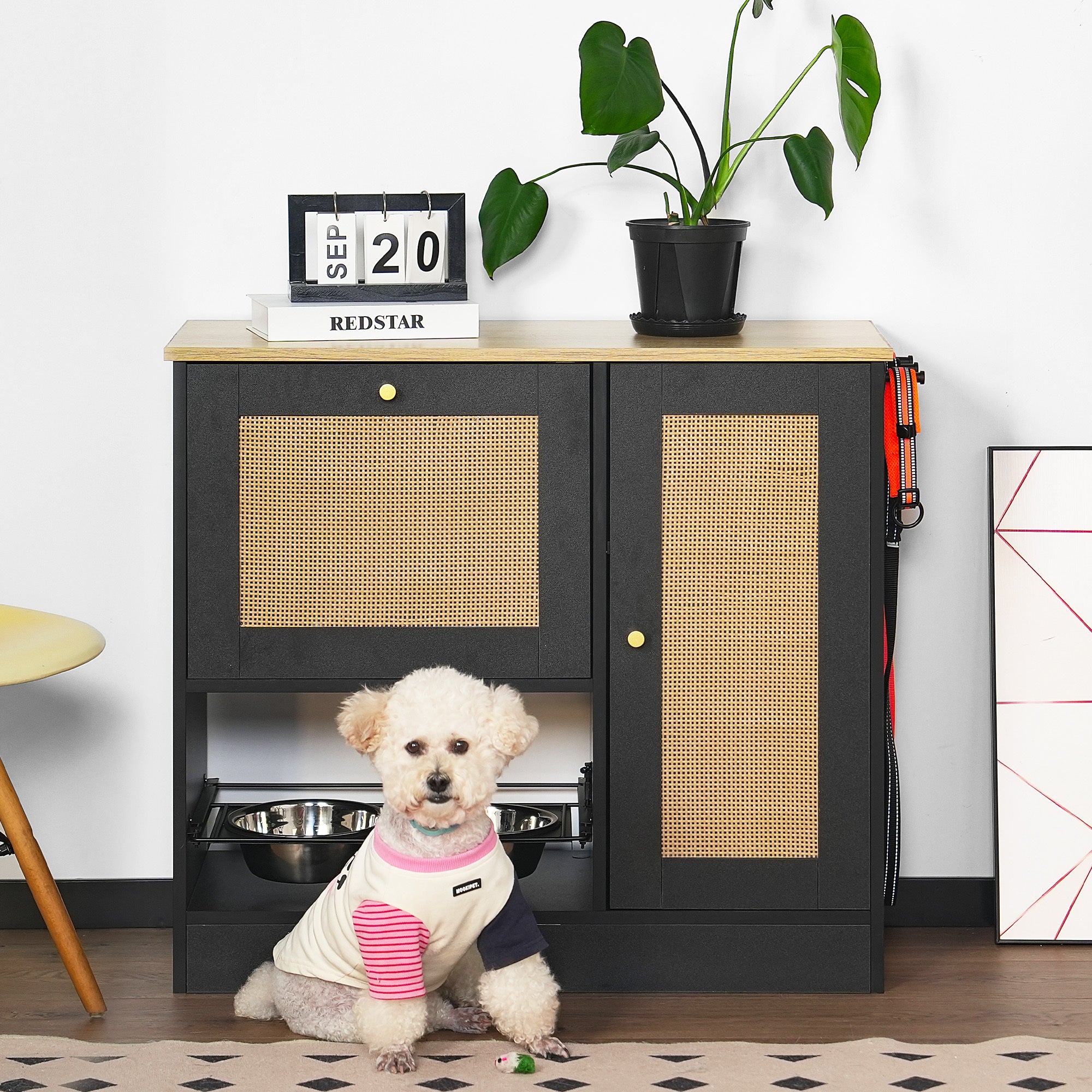 Pet feeding station