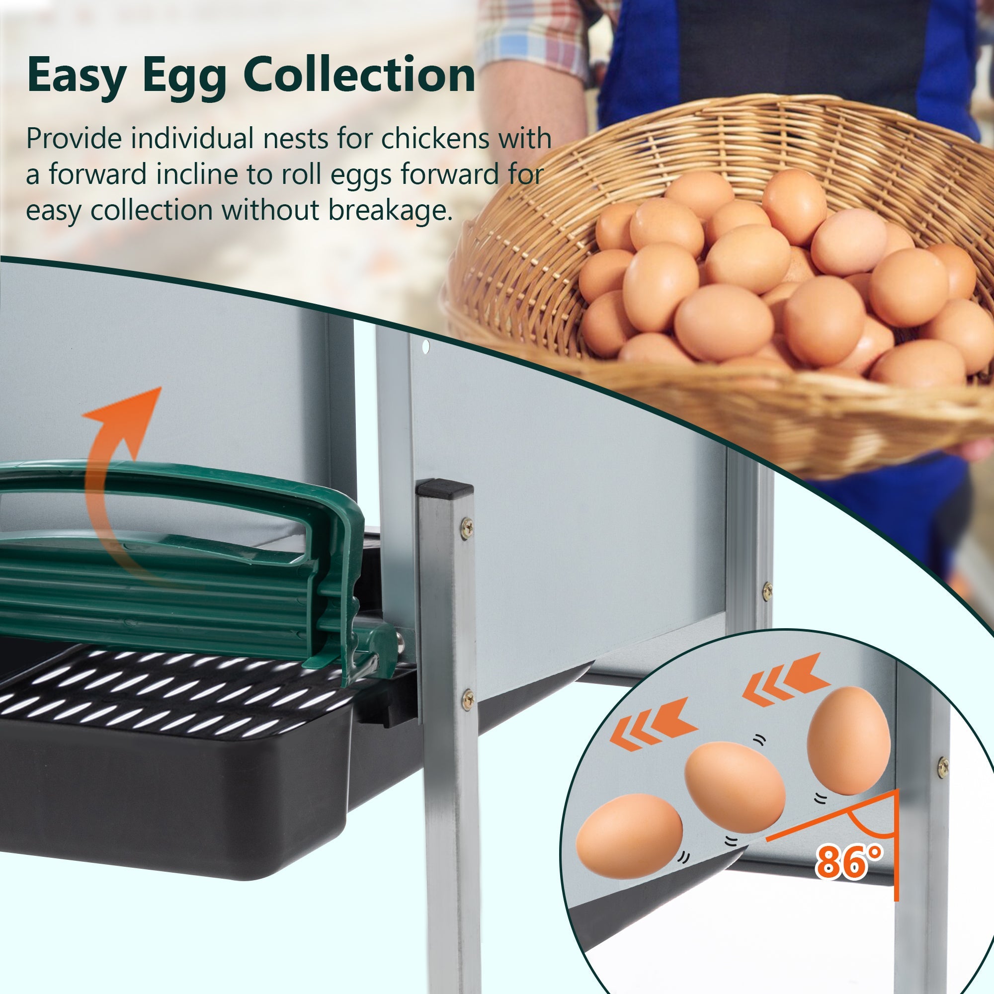 4 - Hole Chicken Nest, With Legs And Cover to Protect Eggs,Green - KiKiUMi