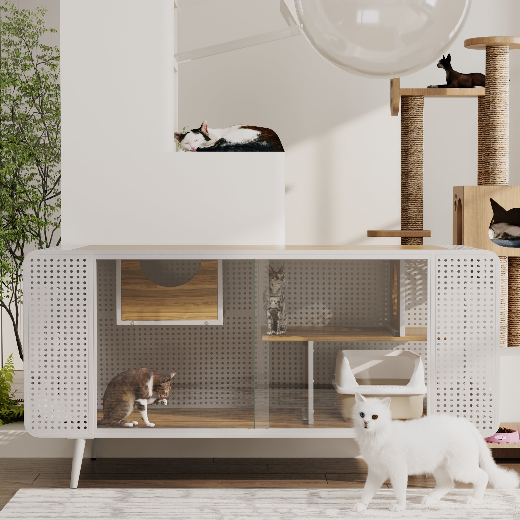 55.12 'spacious cat house, equipped with tempered glass - KiKiUMi