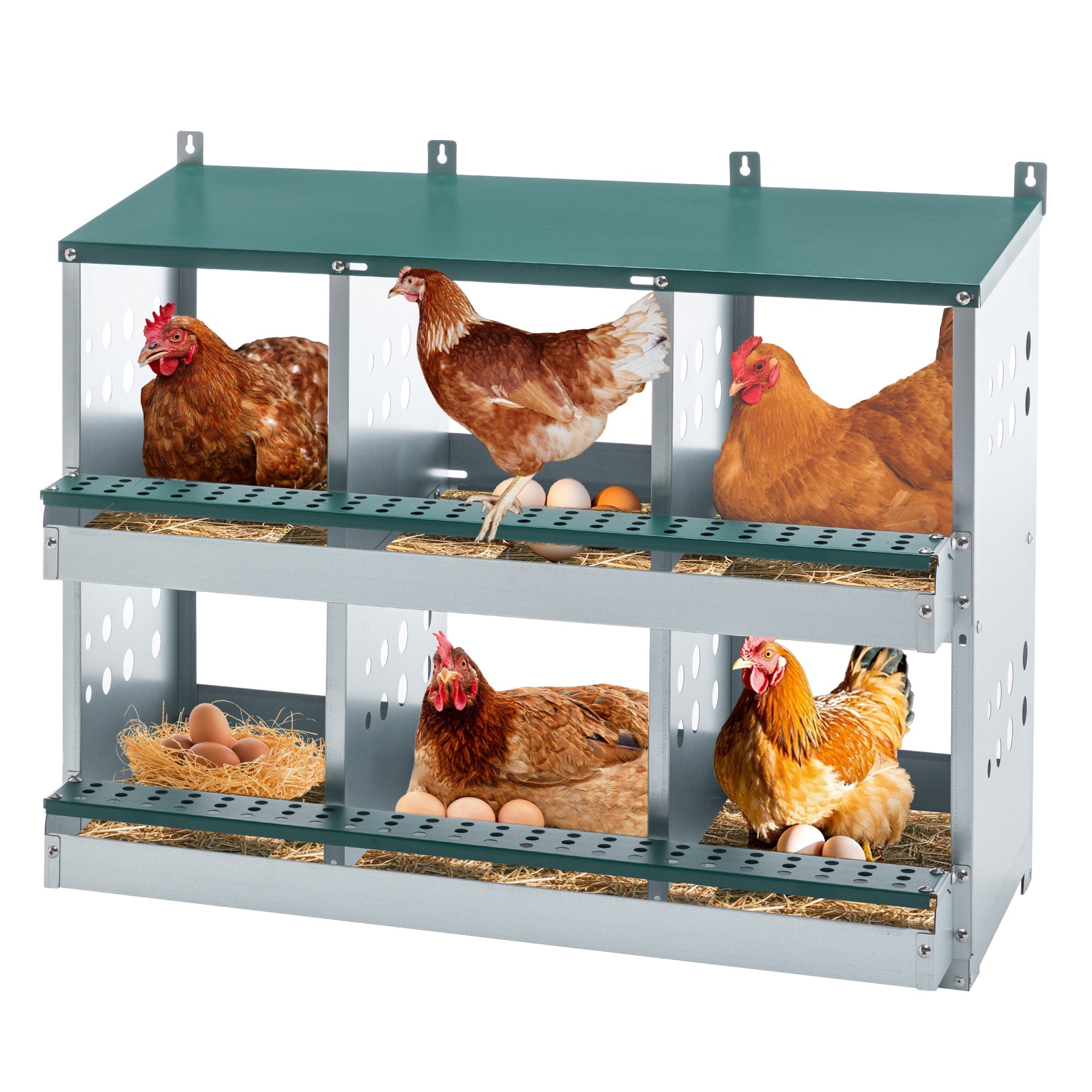 6 - compartment egg laying box for chicken coop - KiKiUMi