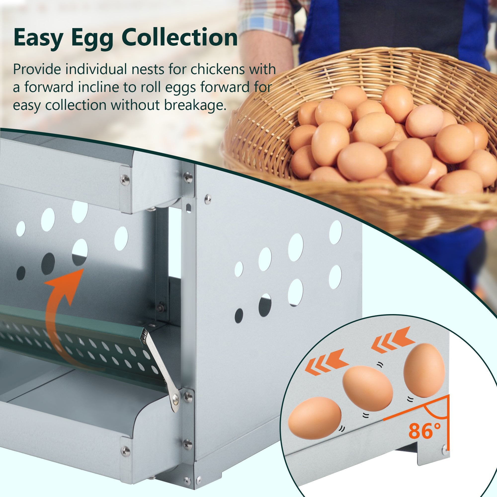 6 - compartment egg laying box for chicken coop - KiKiUMi
