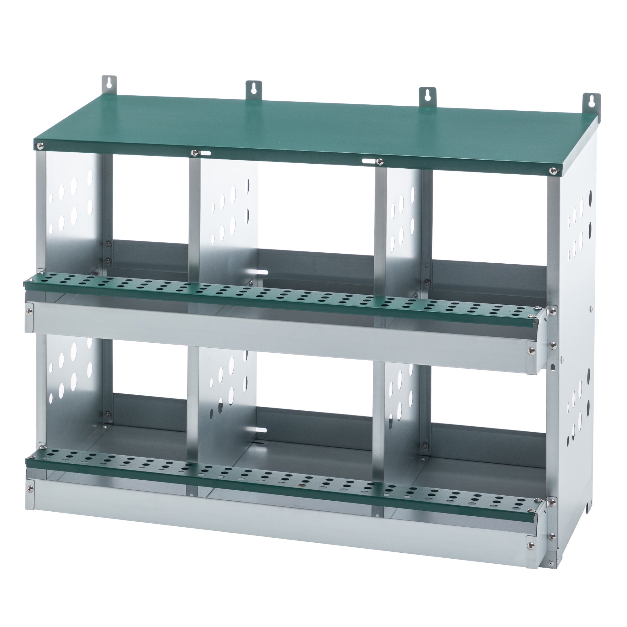 6 - compartment egg laying box for chicken coop - KiKiUMi