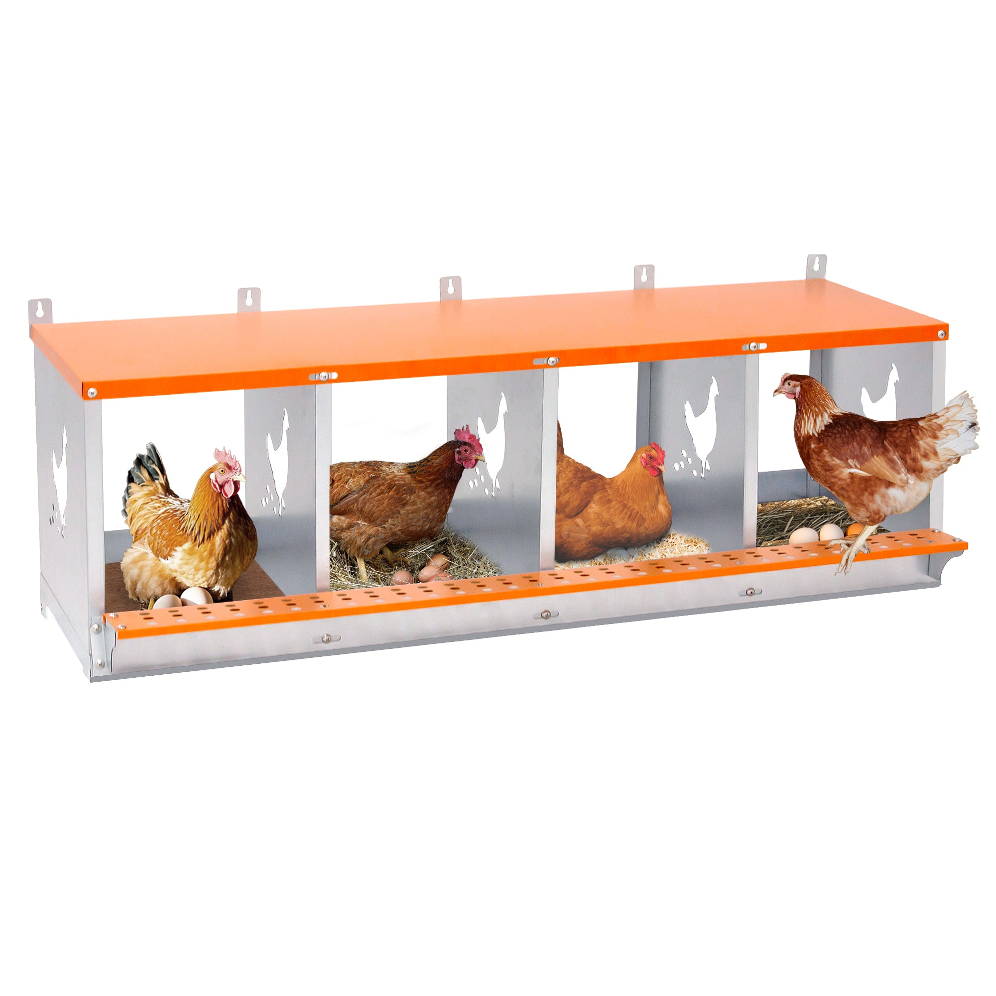 Orange four-chamber metal laying hen nest box