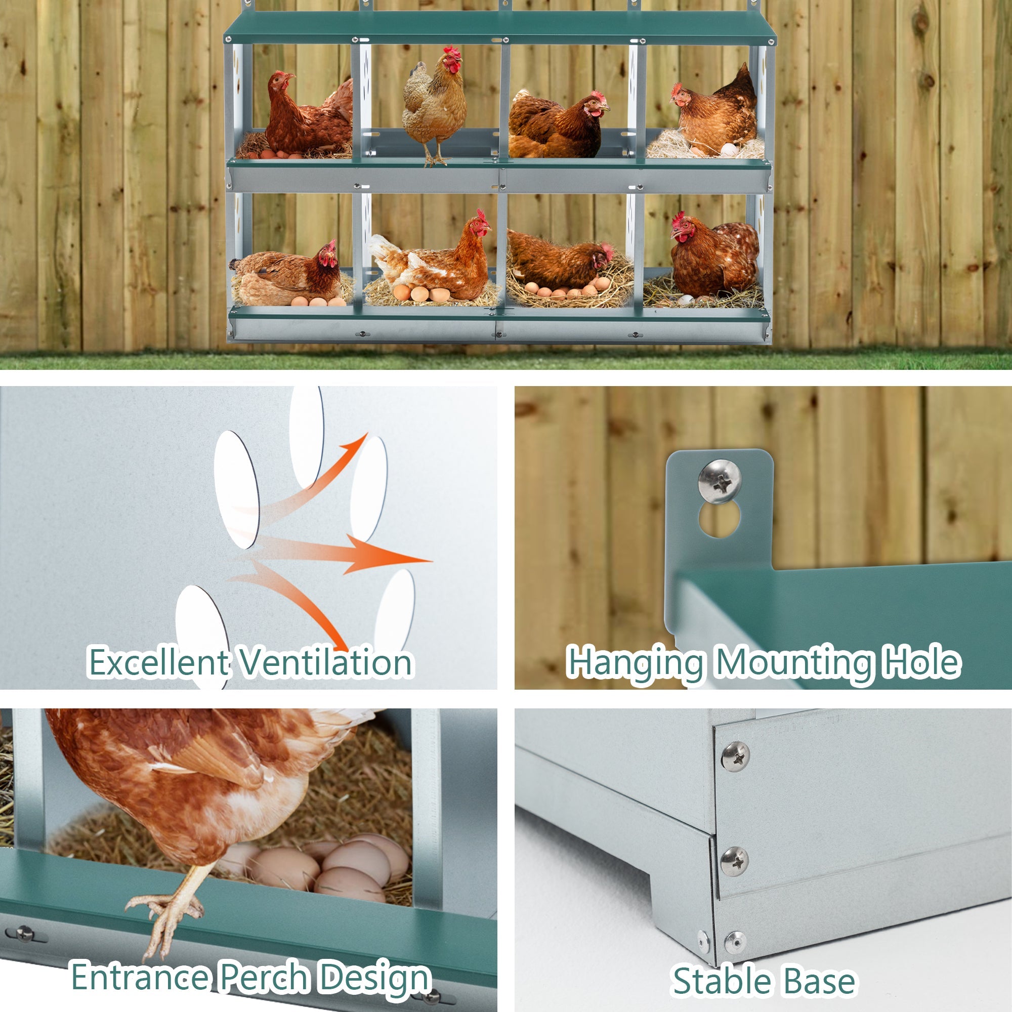 8 - compartment metal bottom egg - laying chicken nest box - KiKiUMi