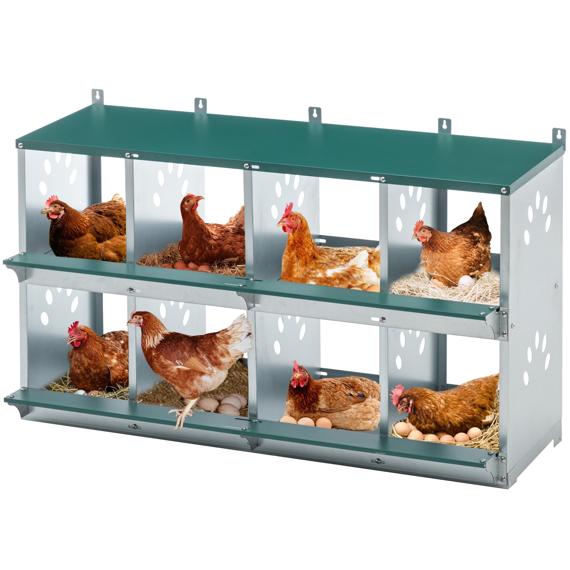 8 - compartment metal bottom egg - laying chicken nest box - KiKiUMi