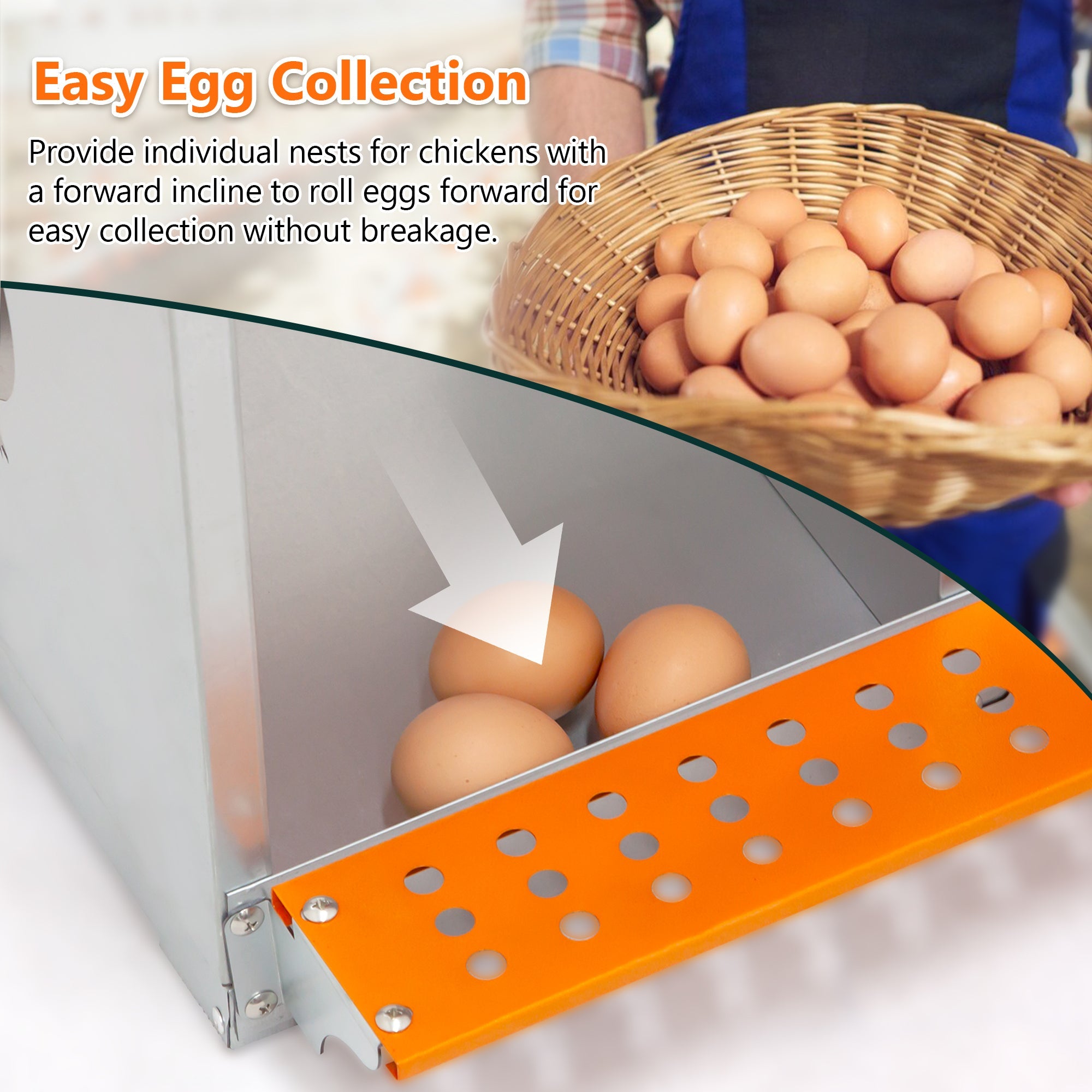 8 - compartment metal chicken and duck box - KiKiUMi