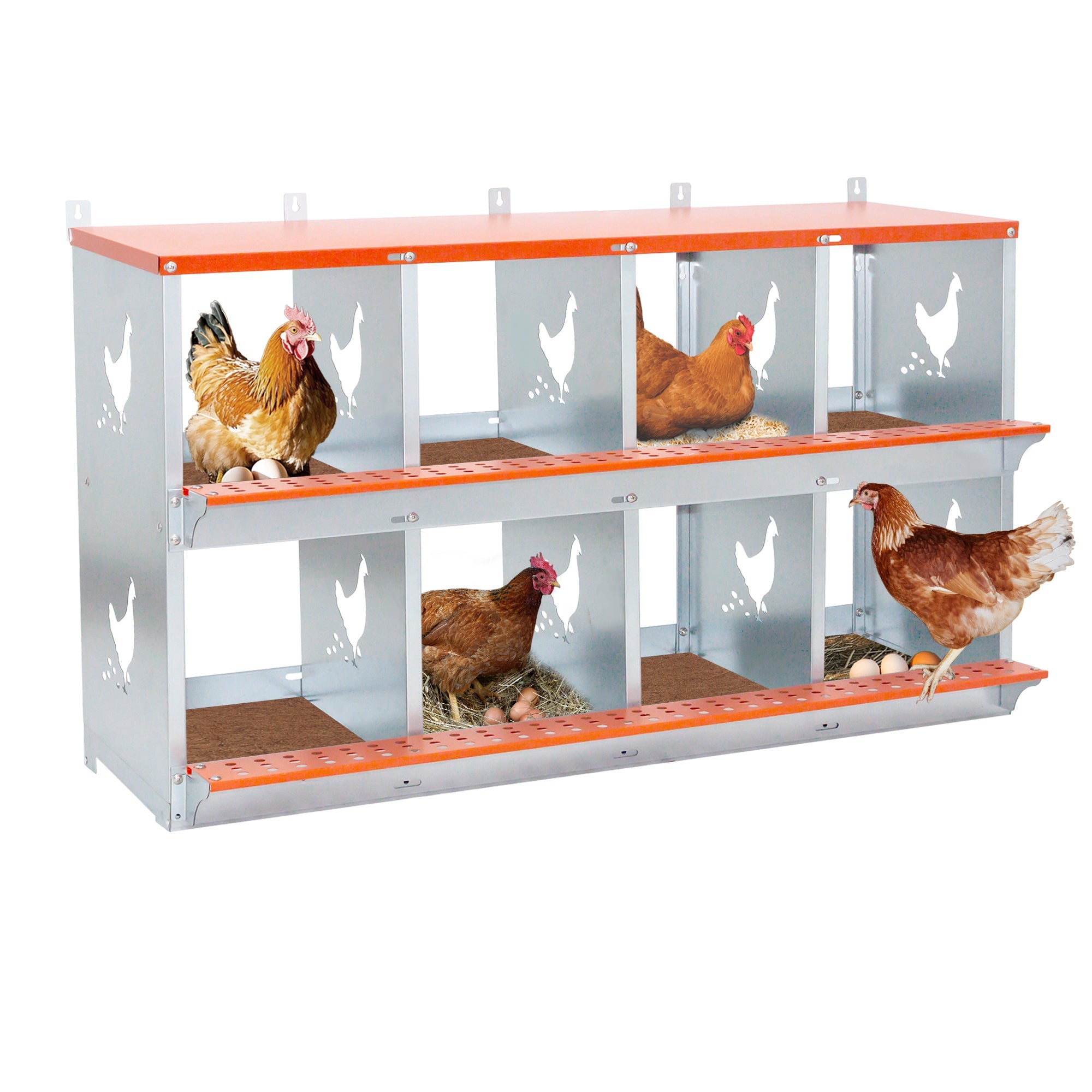 8 - compartment metal chicken and duck box - KiKiUMi