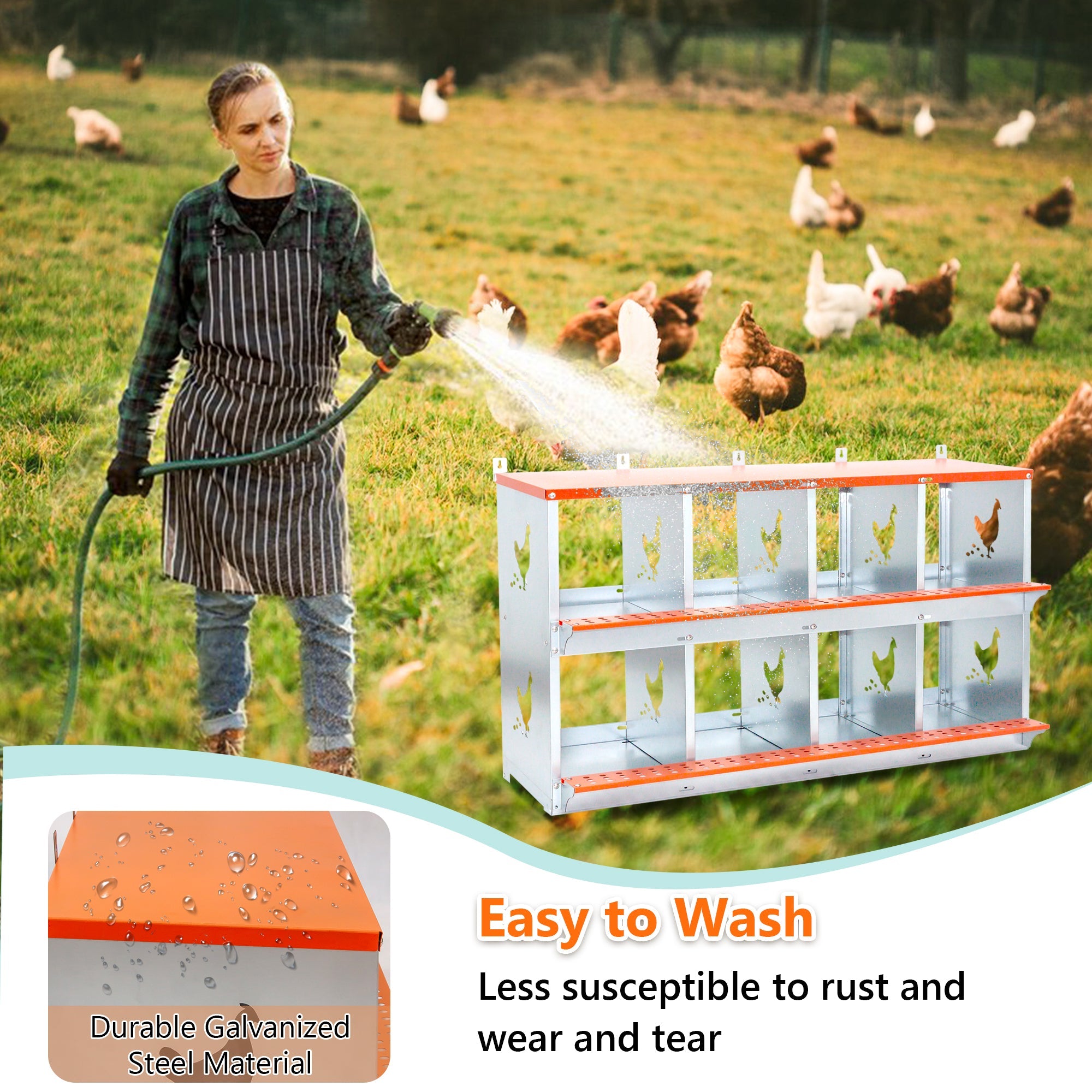 8 - compartment metal chicken and duck box - KiKiUMi