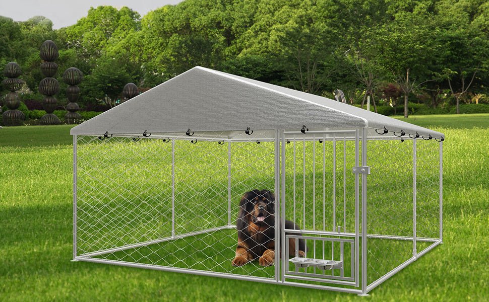 Large outdoor fenced kennel with a rotating feeder - KiKiUMi