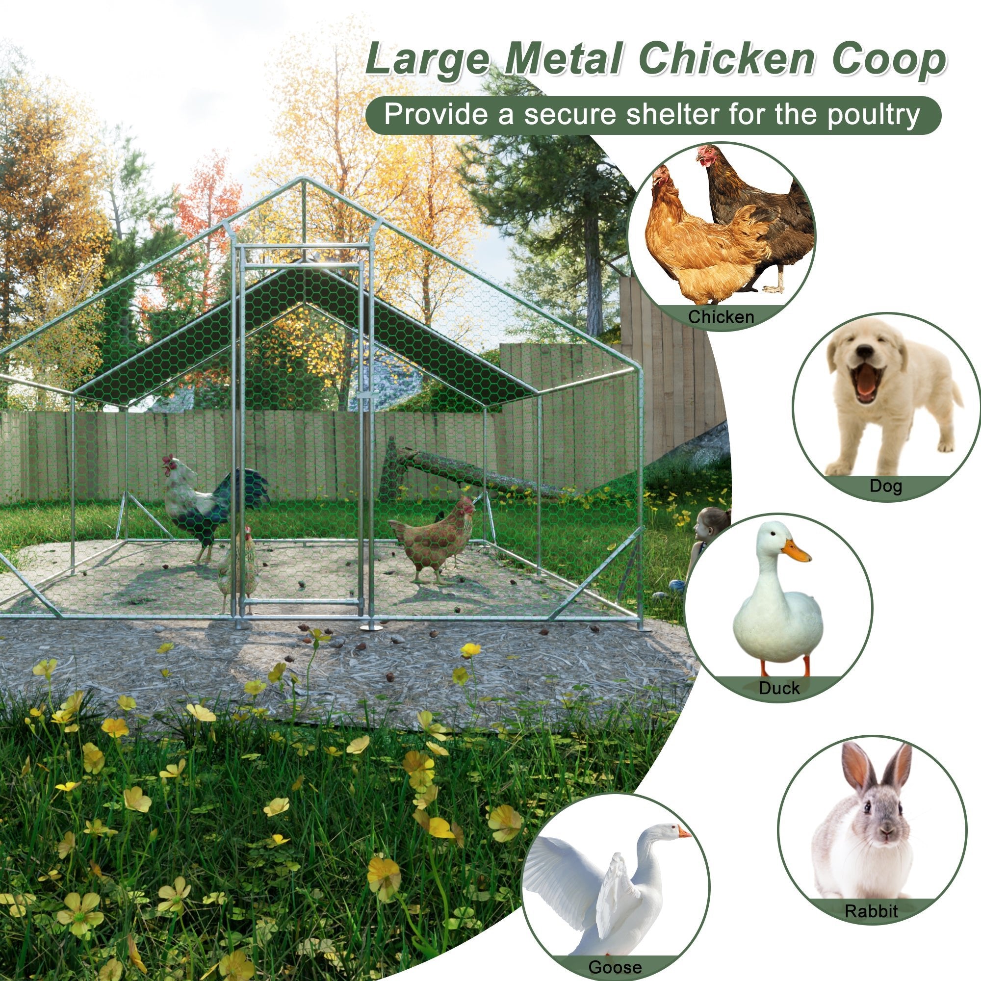 Large walk - in metal chicken, rabbit and duck cages (10' L x 13 W x 6.56' H) - KiKiUMi