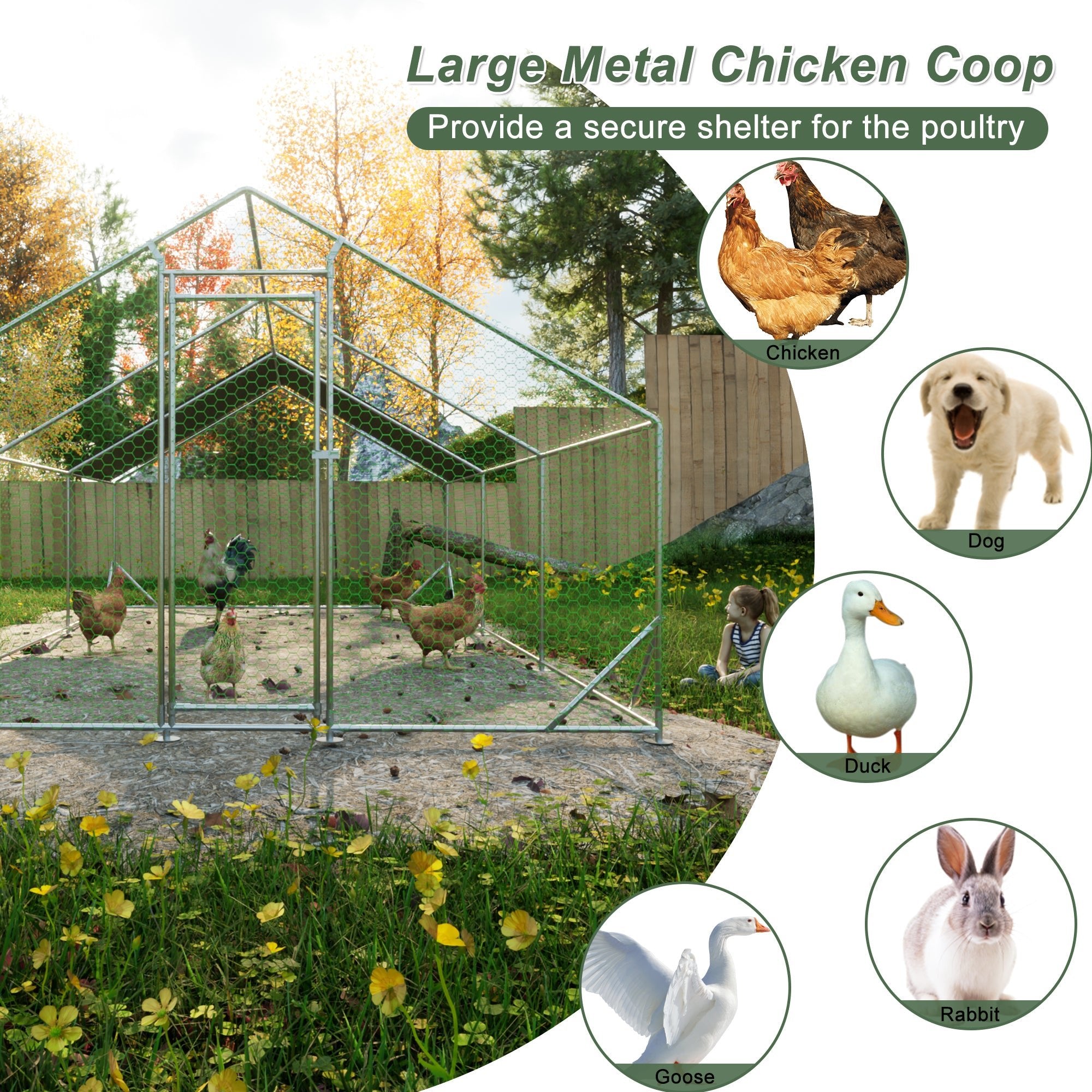 Lighter large walk - in metal chicken, rabbit and duck cages (10 'L x 26 W x 6.56 H) - KiKiUMi