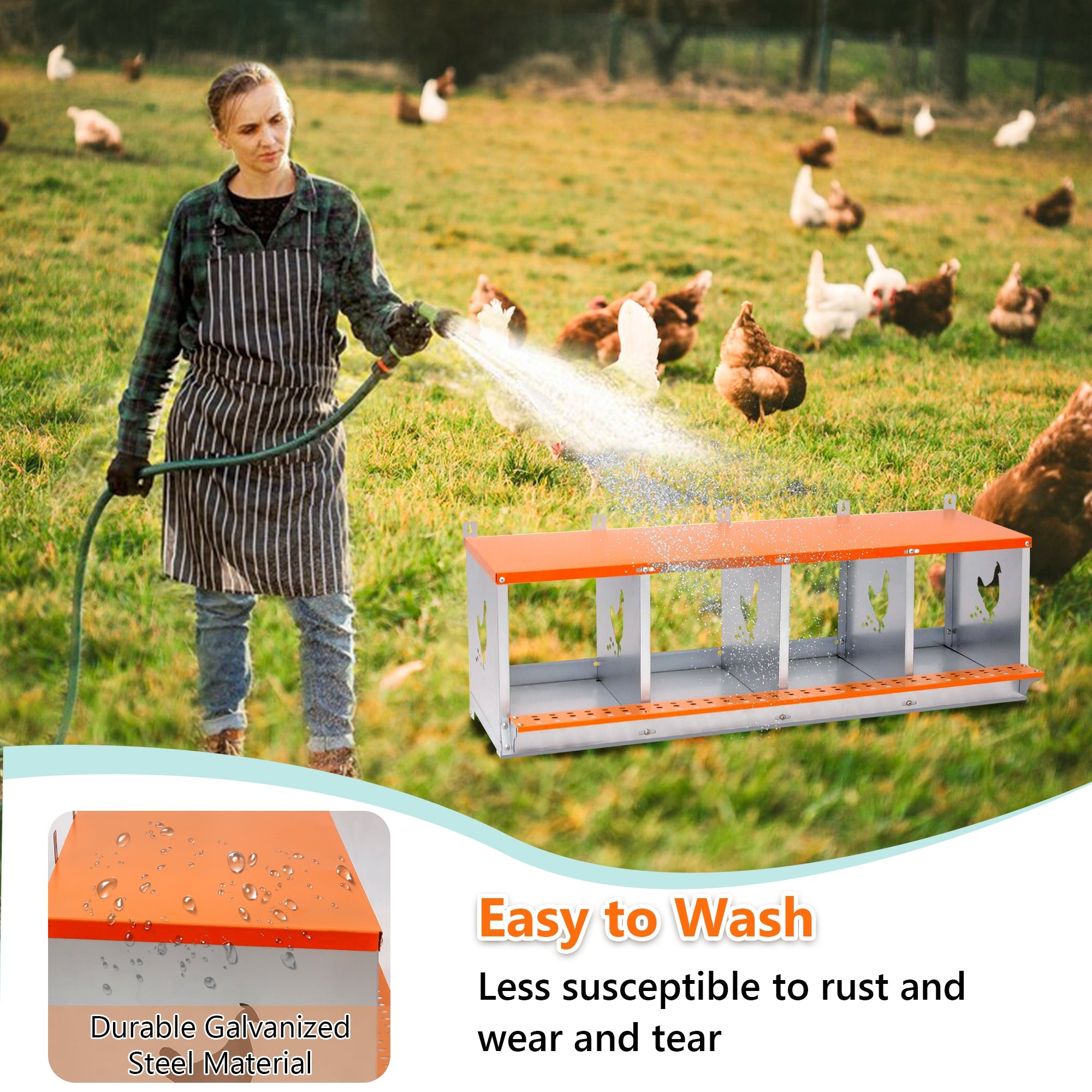 Orange four - chamber metal laying hen nest box - KiKiUMi