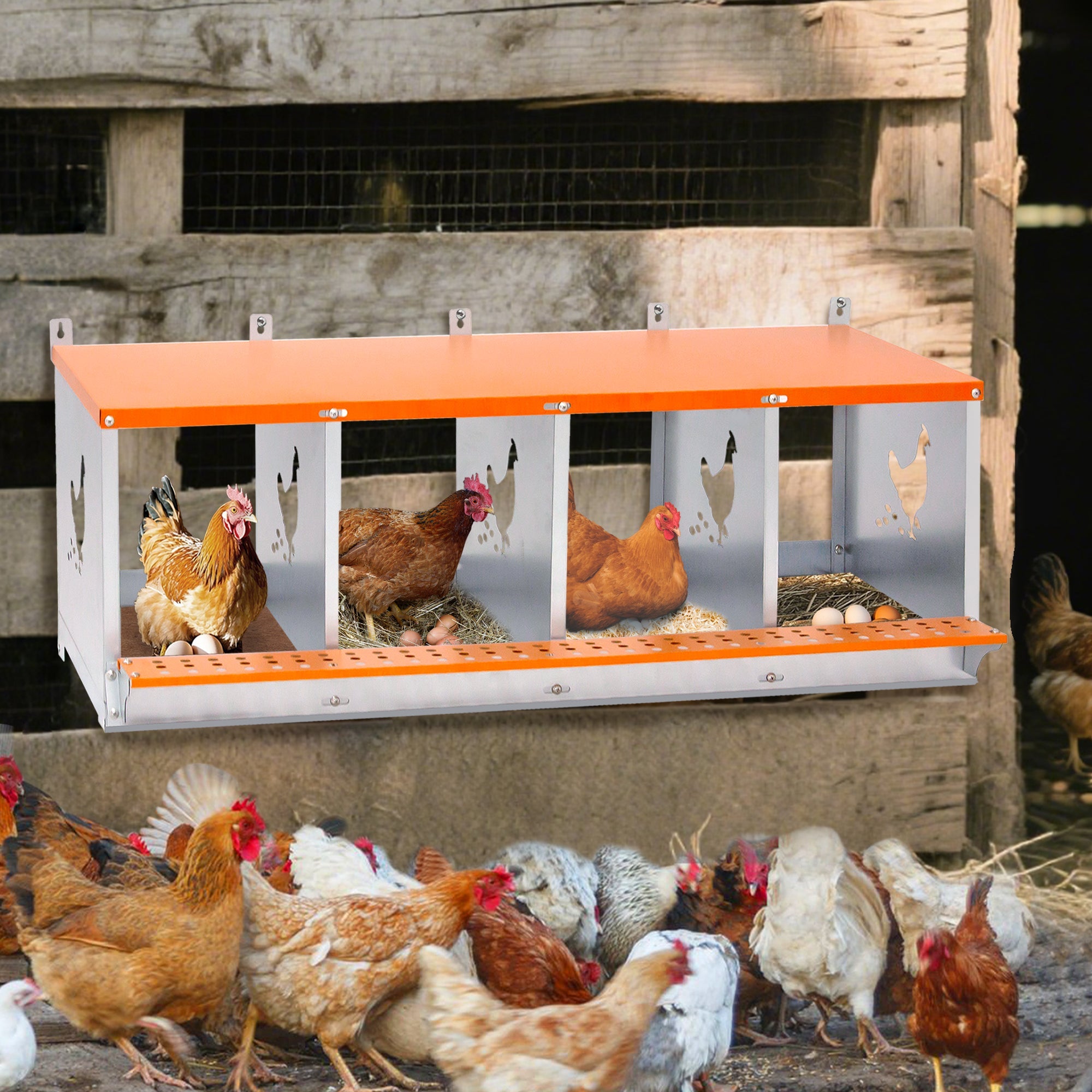Orange four - chamber metal laying hen nest box - KiKiUMi