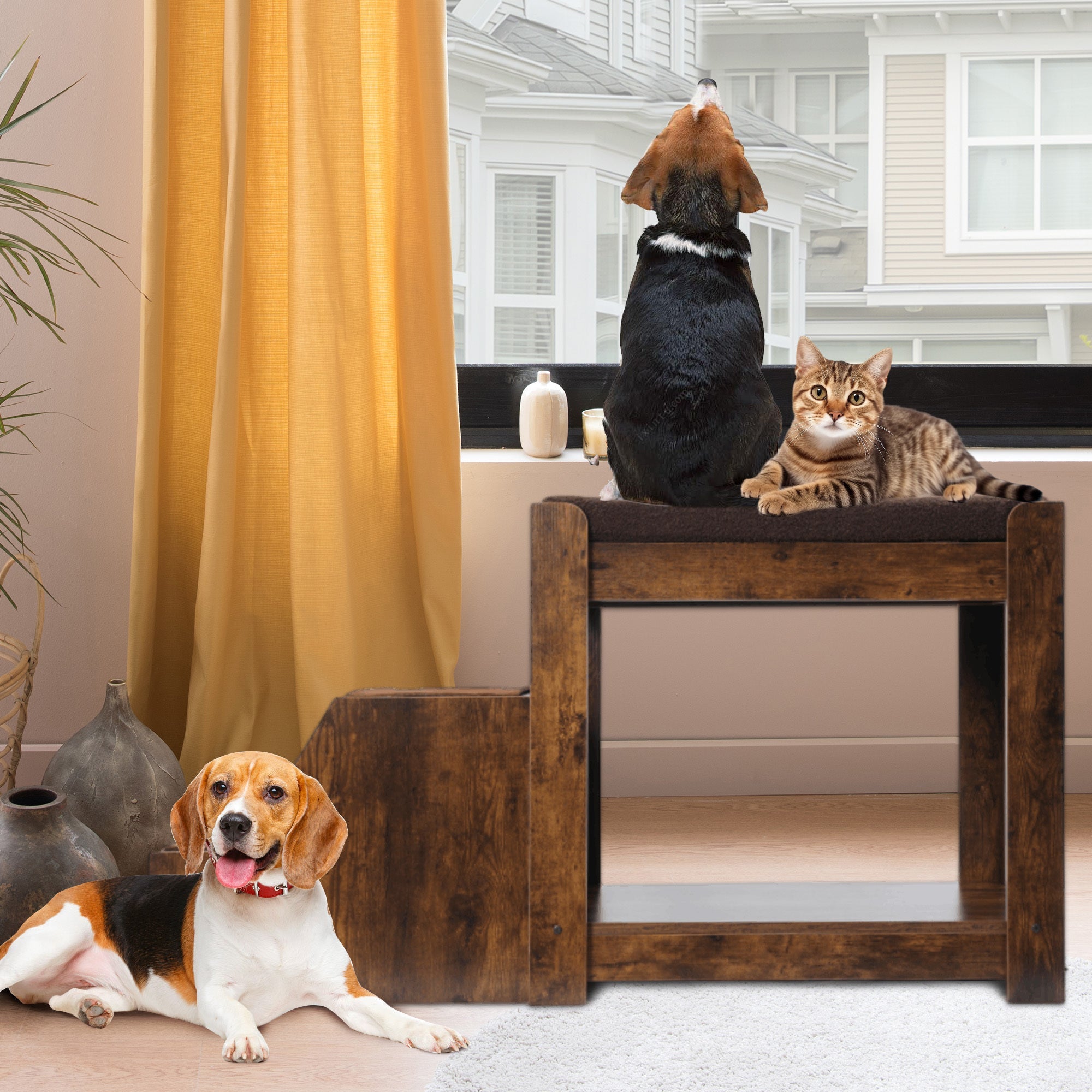 Pet bunk beds, multi - level window seats - KiKiUMi