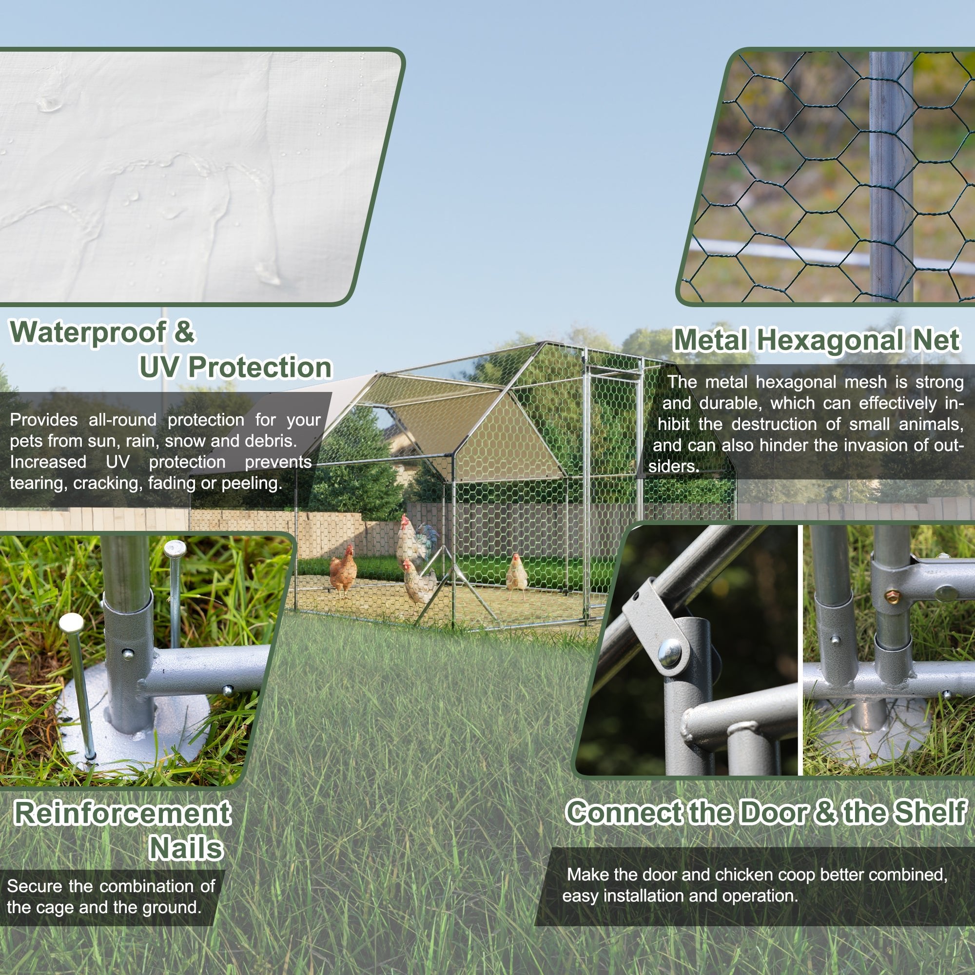 Poultry are running away from the cages in a galvanized metal farm - KiKiUMi