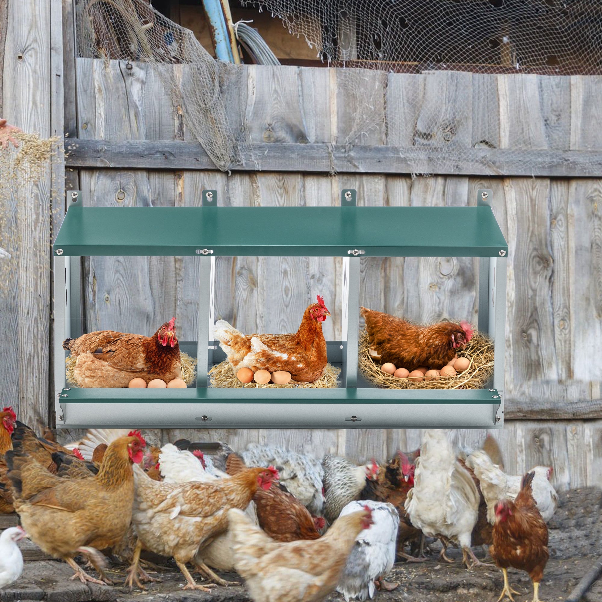 Three - compartment metal chicken coop box - KiKiUMi