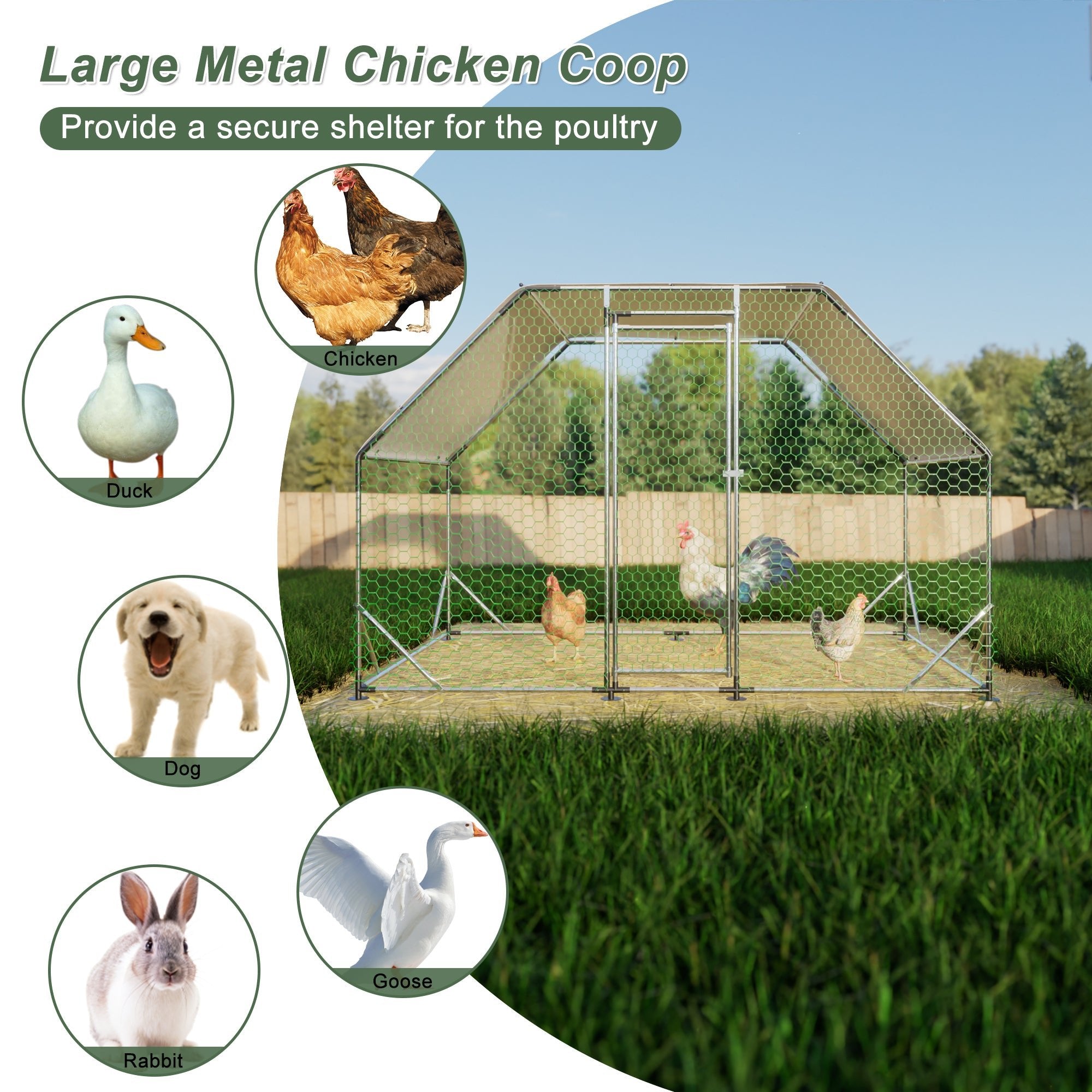 Walk - in waterproof metal poultry cage - KiKiUMi