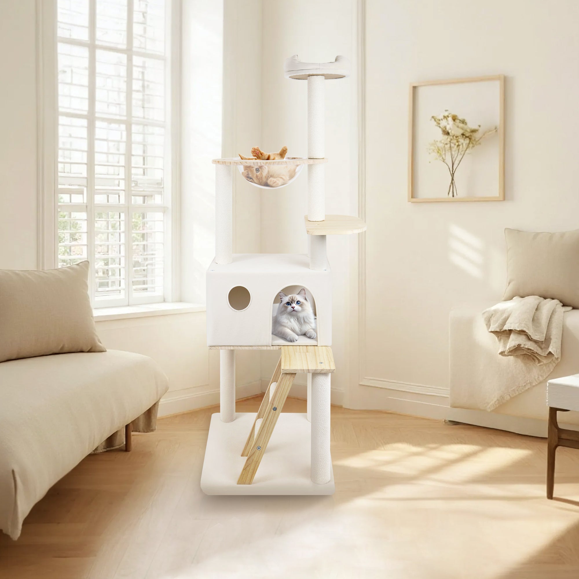 wood cat tree with large condo wood ladder and transparent spacecraft 165cm - KiKiUMi